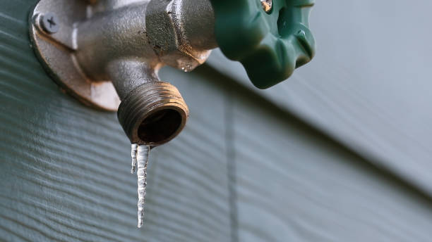 Best Clogged Drain Plumber  in Marshfield, WI